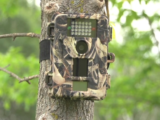 Skout%u2122 7.0MP Infrared Digital Video / Scouting Trail Camera - image 10 from the video